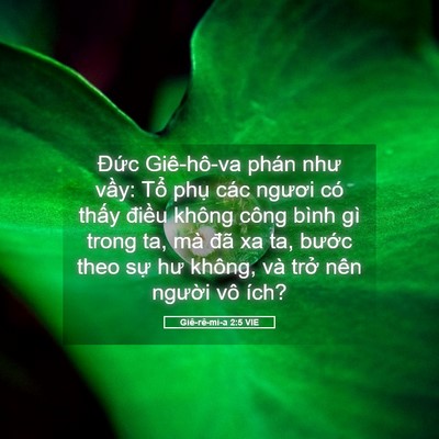 Picture 05 - Giê-rê-mi-a 2:5 VIE - Đức Giê-hô-va phán như vầy: Tổ phụ - Bible Verse Picture