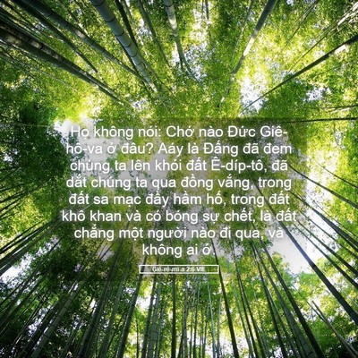 Picture 05 - Giê-rê-mi-a 2:6 VIE - Họ không nói: Chớ nào Đức Giê-hô-va - Bible Verse Picture