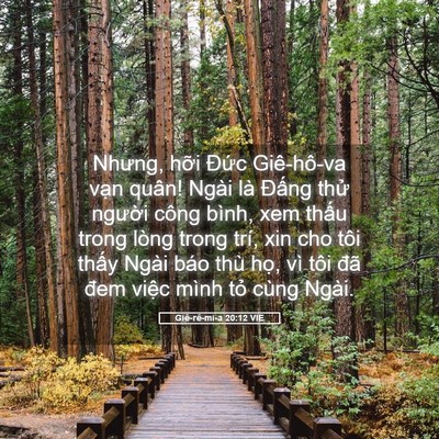 Picture 05 - Giê-rê-mi-a 20:12 VIE - Nhưng, hỡi Đức Giê-hô-va vạn quân! - Bible Verse Picture