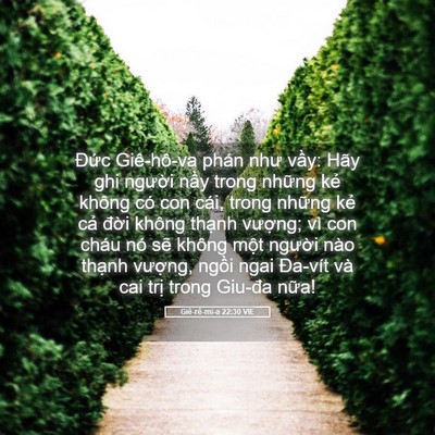 Picture 05 - Giê-rê-mi-a 22:30 VIE - Đức Giê-hô-va phán như vầy: Hãy ghi - Bible Verse Picture