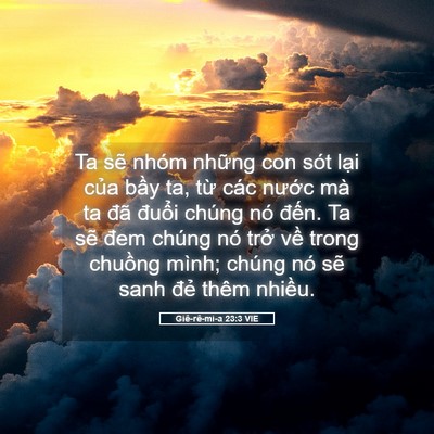 Picture 05 - Giê-rê-mi-a 23:3 VIE - Ta sẽ nhóm những con sót lại của bầy - Bible Verse Picture
