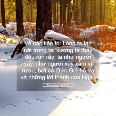 Picture 05 - Giê-rê-mi-a 23:9 VIE - Về các tiên tri: Lòng ta tan nát trong ta; - Bible Verse Picture