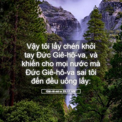 Picture 05 - Giê-rê-mi-a 25:17 VIE - Vậy tôi lấy chén khỏi tay Đức - Bible Verse Picture