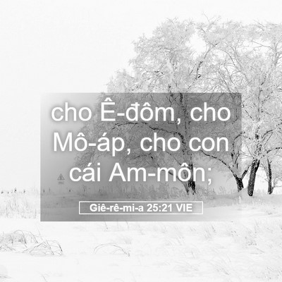 Picture 05 - Giê-rê-mi-a 25:21 VIE - cho Ê-đôm, cho Mô-áp, cho con cái - Bible Verse Picture