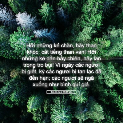 Picture 05 - Giê-rê-mi-a 25:34 VIE - Hỡi những kẻ chăn, hãy than khóc, cất - Bible Verse Picture