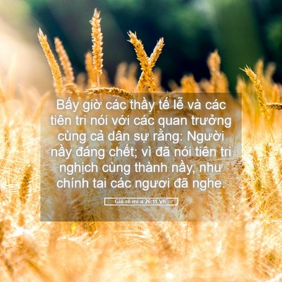 Picture 05 - Giê-rê-mi-a 26:11 VIE - Bấy giờ các thầy tế lễ và các tiên - Bible Verse Picture