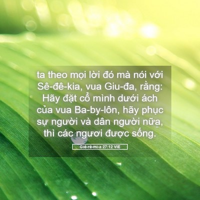 Picture 05 - Giê-rê-mi-a 27:12 VIE - ta theo mọi lời đó mà nói với - Bible Verse Picture