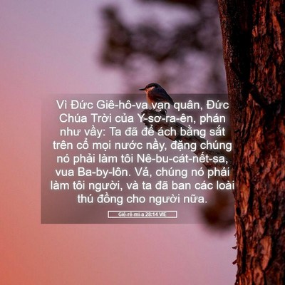 Picture 05 - Giê-rê-mi-a 28:14 VIE - Vì Đức Giê-hô-va vạn quân, Đức Chúa - Bible Verse Picture