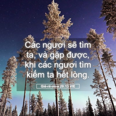 Picture 05 - Giê-rê-mi-a 29:13 VIE - Các ngươi sẽ tìm ta, và gặp được, - Bible Verse Picture