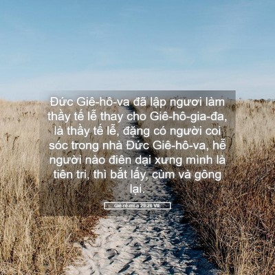 Picture 05 - Giê-rê-mi-a 29:26 VIE - Đức Giê-hô-va đã lập ngươi làm thầy - Bible Verse Picture
