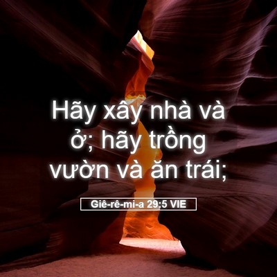 Picture 05 - Giê-rê-mi-a 29:5 VIE - Hãy xây nhà và ở; hãy trồng vườn và - Bible Verse Picture