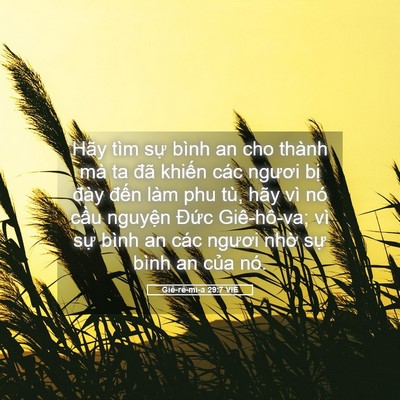 Picture 05 - Giê-rê-mi-a 29:7 VIE - Hãy tìm sự bình an cho thành mà ta đã - Bible Verse Picture