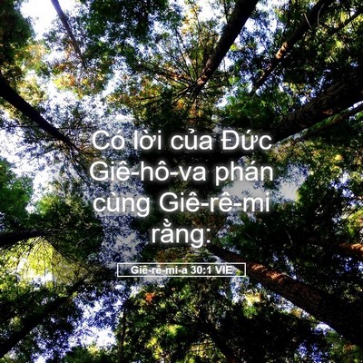 Picture 05 - Giê-rê-mi-a 30:1 VIE - Có lời của Đức Giê-hô-va phán cùng - Bible Verse Picture