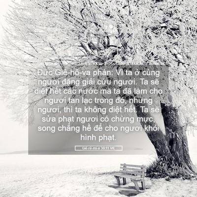 Picture 05 - Giê-rê-mi-a 30:11 VIE - Đức Giê-hô-va phán: Vì ta ở cùng - Bible Verse Picture
