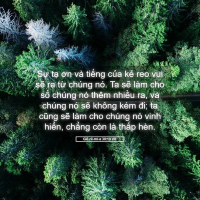 Picture 05 - Giê-rê-mi-a 30:19 VIE - Sự tạ ơn và tiếng của kẻ reo vui sẽ - Bible Verse Picture