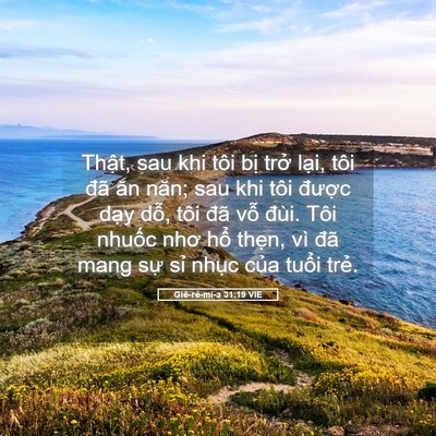 Picture 05 - Giê-rê-mi-a 31:19 VIE - Thật, sau khi tôi bị trở lại, tôi đã - Bible Verse Picture