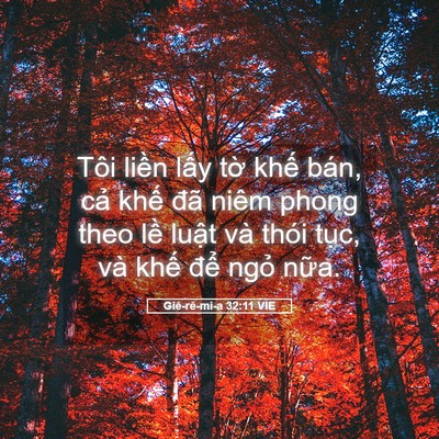 Picture 05 - Giê-rê-mi-a 32:11 VIE - Tôi liền lấy tờ khế bán, cả khế - Bible Verse Picture