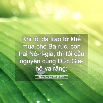 Picture 05 - Giê-rê-mi-a 32:16 VIE - Khi tôi đã trao tờ khế mua cho Ba-rúc, - Bible Verse Picture