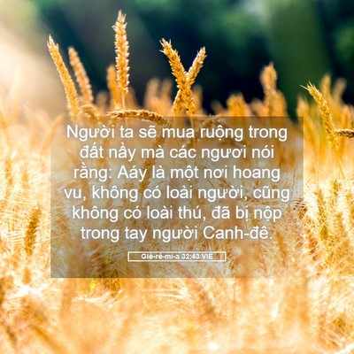 Picture 05 - Giê-rê-mi-a 32:43 VIE - Người ta sẽ mua ruộng trong đất nầy - Bible Verse Picture