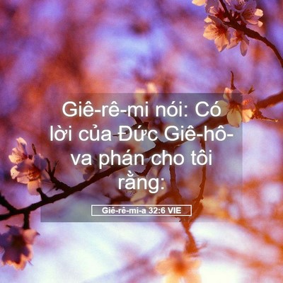 Picture 05 - Giê-rê-mi-a 32:6 VIE - Giê-rê-mi nói: Có lời của Đức - Bible Verse Picture