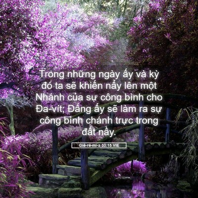 Picture 05 - Giê-rê-mi-a 33:15 VIE - Trong những ngày ấy và kỳ đó ta sẽ - Bible Verse Picture