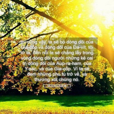 Picture 05 - Giê-rê-mi-a 33:26 VIE - thì cũng vậy, ta sẽ bỏ dòng dõi của - Bible Verse Picture