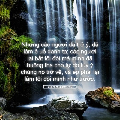 Picture 05 - Giê-rê-mi-a 34:16 VIE - Nhưng các ngươi đã trở ý, đã làm ô - Bible Verse Picture