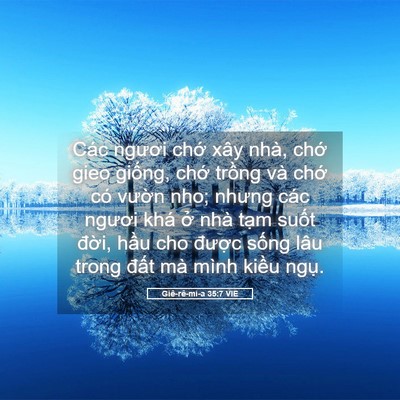 Picture 05 - Giê-rê-mi-a 35:7 VIE - Các ngươi chớ xây nhà, chớ gieo giống, - Bible Verse Picture