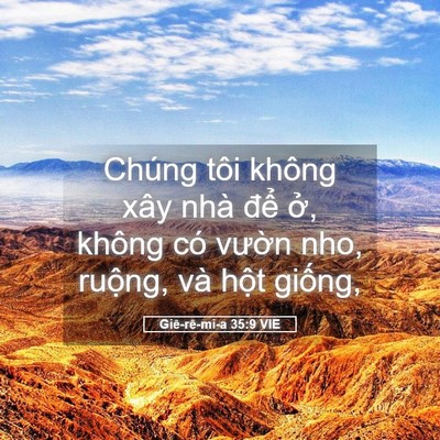 Picture 05 - Giê-rê-mi-a 35:9 VIE - Chúng tôi không xây nhà để ở, không - Bible Verse Picture
