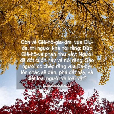 Picture 05 - Giê-rê-mi-a 36:29 VIE - Còn về Giê-hô-gia-kim, vua Giu-đa, thì - Bible Verse Picture