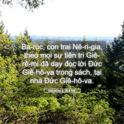 Picture 05 - Giê-rê-mi-a 36:8 VIE - Ba-rúc, con trai Nê-ri-gia, theo mọi sự - Bible Verse Picture