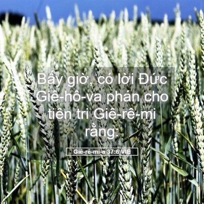 Picture 05 - Giê-rê-mi-a 37:6 VIE - Bấy giờ, có lời Đức Giê-hô-va phán - Bible Verse Picture