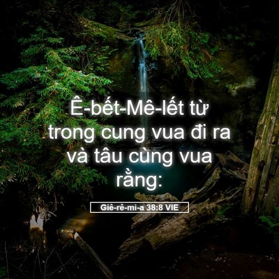 Picture 05 - Giê-rê-mi-a 38:8 VIE - Ê-bết-Mê-lết từ trong cung vua đi ra và - Bible Verse Picture
