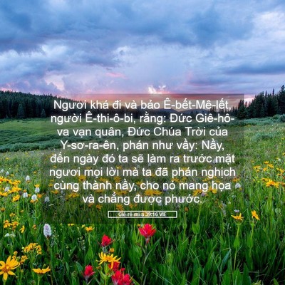 Picture 05 - Giê-rê-mi-a 39:16 VIE - Ngươi khá đi và bảo Ê-bết-Mê-lết, - Bible Verse Picture