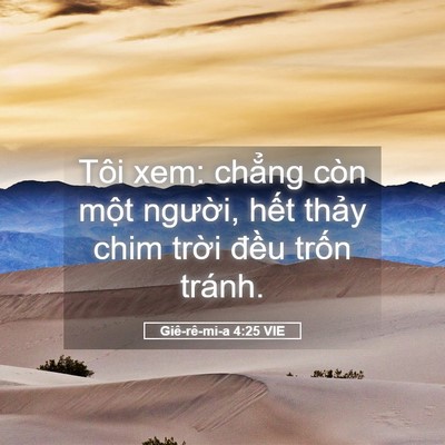 Picture 05 - Giê-rê-mi-a 4:25 VIE - Tôi xem: chẳng còn một người, hết - Bible Verse Picture