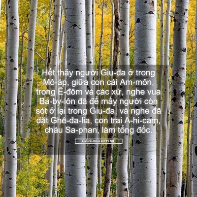 Picture 05 - Giê-rê-mi-a 40:11 VIE - Hết thảy người Giu-đa ở trong Mô-áp, - Bible Verse Picture