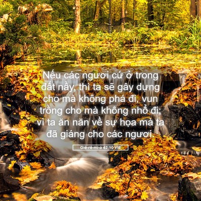Picture 05 - Giê-rê-mi-a 42:10 VIE - Nếu các ngươi cứ ở trong đất nầy, - Bible Verse Picture