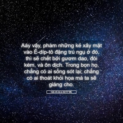 Picture 05 - Giê-rê-mi-a 42:17 VIE - Aáy vậy, phàm những kẻ xây mặt vào - Bible Verse Picture