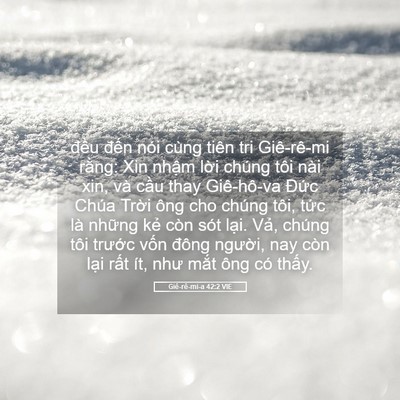 Picture 05 - Giê-rê-mi-a 42:2 VIE - đều đến nói cùng tiên tri Giê-rê-mi - Bible Verse Picture
