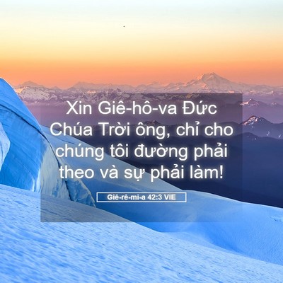 Picture 05 - Giê-rê-mi-a 42:3 VIE - Xin Giê-hô-va Đức Chúa Trời ông, chỉ - Bible Verse Picture