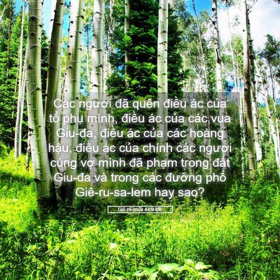 Picture 05 - Giê-rê-mi-a 44:9 VIE - Các ngươi đã quên điều ác của tổ - Bible Verse Picture