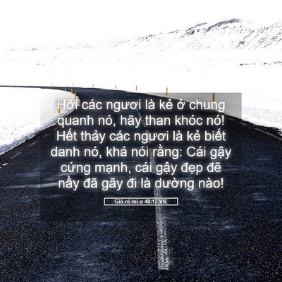 Picture 05 - Giê-rê-mi-a 48:17 VIE - Hỡi các ngươi là kẻ ở chung quanh nó, - Bible Verse Picture