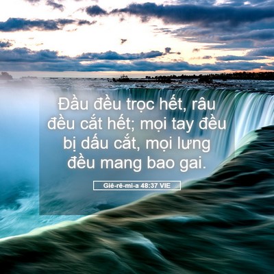 Picture 05 - Giê-rê-mi-a 48:37 VIE - Đầu đều trọc hết, râu đều cắt - Bible Verse Picture
