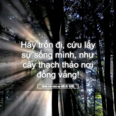 Picture 05 - Giê-rê-mi-a 48:6 VIE - Hãy trốn đi, cứu lấy sự sống mình, - Bible Verse Picture