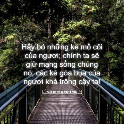 Picture 05 - Giê-rê-mi-a 49:11 VIE - Hãy bỏ những kẻ mồ côi của ngươi; - Bible Verse Picture