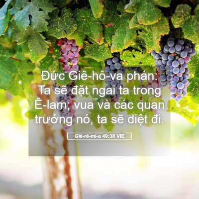 Picture 05 - Giê-rê-mi-a 49:38 VIE - Đức Giê-hô-va phán: Ta sẽ đặt ngai ta - Bible Verse Picture