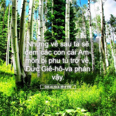 Picture 05 - Giê-rê-mi-a 49:6 VIE - Nhưng về sau ta sẽ đem các con cái - Bible Verse Picture