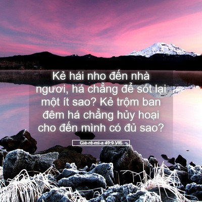 Picture 05 - Giê-rê-mi-a 49:9 VIE - Kẻ hái nho đến nhà ngươi, há chẳng - Bible Verse Picture