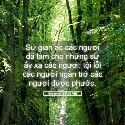Picture 05 - Giê-rê-mi-a 5:25 VIE - Sự gian ác các ngươi đã làm cho những - Bible Verse Picture