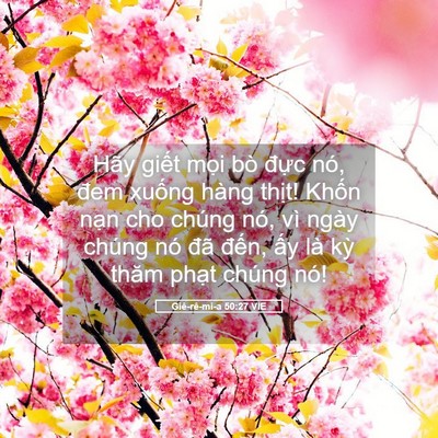 Picture 05 - Giê-rê-mi-a 50:27 VIE - Hãy giết mọi bò đực nó, đem xuống - Bible Verse Picture
